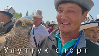 Улуттук спорт турлору