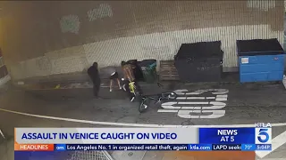 Brutal assault caught on video in Venice