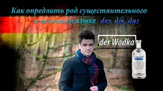 Как определить род существительного в немецком языке der, die, das "Moment Mal"