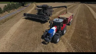 DEMONSTRATION IDEAL 7 MASSEY FERGUSON - MOISSON 2020