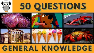 General Knowledge Quiz Trivia #32 | Sea Anemone, Scooby Doo, Grand Prix, Marketplace, Sorbet, Crab