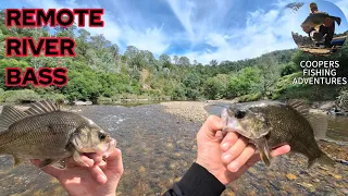 FISHING THIS REMOTE AUSTRALIAN RIVER FOR AUSTRALIAN BASS |  Australia’s Hardest Fighting Fish?
