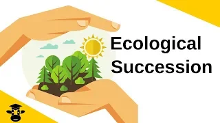 Ecological Succession-Primary and Secondary