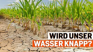 Wassermangel in Deutschland: Droht uns eine Rationierung im Sommer?