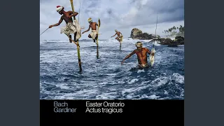 Easter Oratorio, BWV 249: Recitative: Wir sind erfreut (Bass)