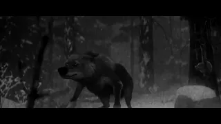 Run Pilgrim with lyrics (footage taken from 'Alone A Wolfs Winter' by ESMA)