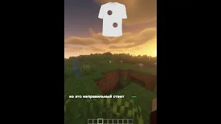 Сколько дырок в этой футболке в Майнкрафте ? #minecraft #shorts