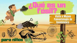 ¿Qué es un fósil? (para niños) visita al museo de paleontología de Guadalajara.