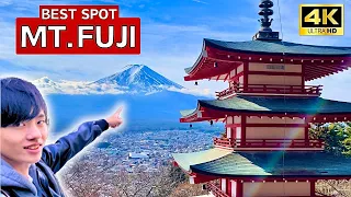 Daytrip to Mt.Fuji | Arakurayama Sengen Park | Travel to Japan🇯🇵