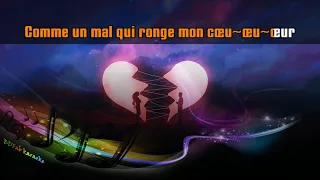 Johnny Hallyday - Le cœur en deux (live Bercy 2003) [BDFab karaoke]