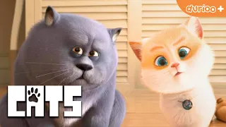 Trailer Cats The Movie | Bahasa Melayu | Durioo+