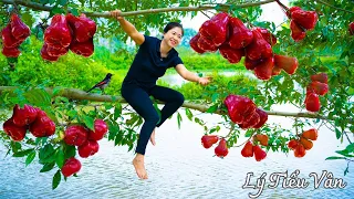 How to harvest Water apple & Goes to the market sell - Harvesting and Cooking || Daily Life