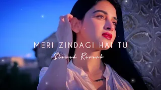 Meri Zindagi Hai Tu (Slowed Reverb) Rochak Kohli Jubin Nautiyal & Neeti Mohan