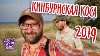 Кинбурнская коса 2019