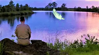 Colonna Sonora (Completa) - Forrest Gump (HD)