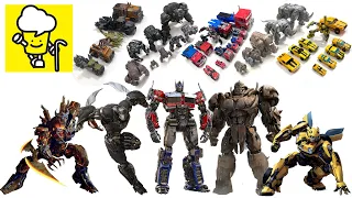 Transformers Rise of the Beasts Optimus Prime Optimus Primal Bumblebee Scourge Rhinox トランスフォーマー 變形金剛