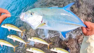 BEST BAIT FOR PAPIO!  | Oama Fishing | Papio Fishing | Hawaii Fishing |