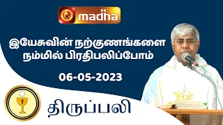 🔴 LIVE 06 MAY 2023 Holy Mass in Tamil 06:00 PM (Evening Mass) | Madha TV