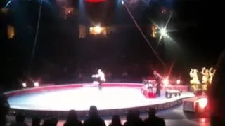 Dogs at the circus