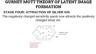 6. Latent Image Formation in Film-Screen Radiography RADIOGRAPHIC IMAGING