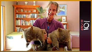 🇦🇺  The Wombat Whisperer | 101 East