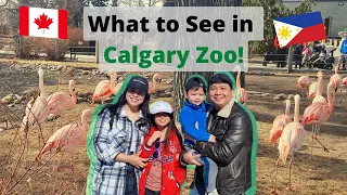 Calgary Zoo Trip | Spring 2023 | International Student in Calgary, Alberta, Canada