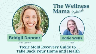 Ep.660: Toxic Mold Recovery Guide to Take Back Your Home and Health With Bridgit Danner