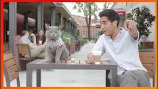 Magic Show Zach King Vines - How To Magic with Zach King Editing Revealed Compiation 2017 T  Part 8