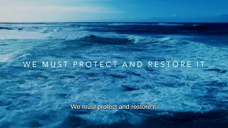 The ocean is our mission