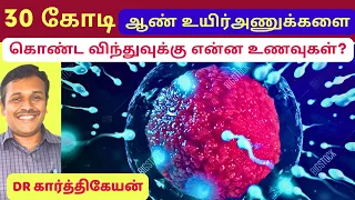 விந்து உயிரணுக்கள் அதிகரிக்க | sperm count increase food spermatogenesis egg fertilisation