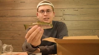 BIG SWIMBAIT UNBOXING (Tackle Warehouse)