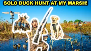 SOLO Duck Hunting My FLOODED MARSH at My FARM!!! Bonus Pigeon! (Catch Clean Cook)