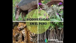 Importancia de la biodiversidad