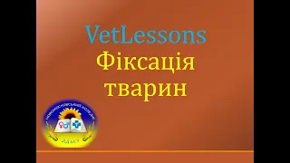 VetLessons. ФІКСАЦІЯ ТВАРИН. Засоби, методи, заходи безпеки, повалення.