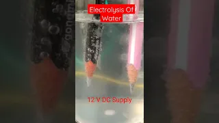 Electrolysis Of Water /#youtubeshorts #shorts