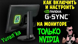 Как включить и настроить G-Sync на мониторе | ТОЛЬКО NVIDIA