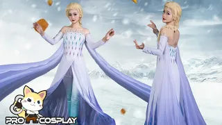 The Details for Frozen 2 Elsa Spirit Cosplay Costume