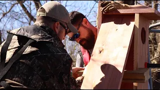 Tiny Homes for Wood Ducks