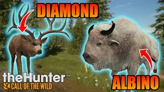 We had INSANE Luck On This Hunt... | theHunter: Call of the Wild - Silver Ridge Peaks