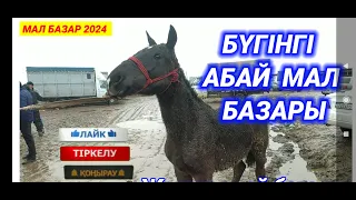 БҮГІНГІ АБАЙ МАЛ БАЗАРЫ | ЖЫЛҚЫ, ТАЙ, БАЙТАЛ БАҒАСЫ | МАЛ БАЗАР 2024 | КЕЛЕС АБАЙ МАЛ БАЗАРЫ 2024