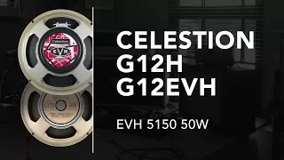 Celestion G12H Anniversary VS G12EVH - EVH 5150