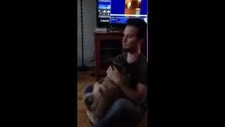 Nasca crazy Pug screaming