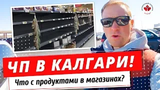 ЧП в Калгари | ЧТО с продуктами на полках | Почему люди ПАНИКУЮТ?