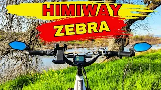 Unleash The Amazing Himiway Zebra