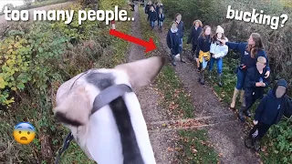 uh oh.. soo many people | GO PRO HACK | equinemollie