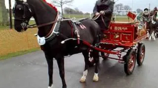 the london harness horse parade 2008