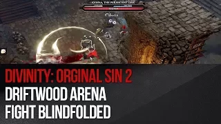 Divinity: Original Sin 2 - Driftwood Arena Fight (Blindfolded)