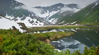 Красивые стихи "Всё нужно пережить на этом свете"