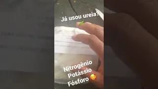 Já usou ureia em suas plantas? 🌱 Nutrição pr suas plantas, nitrogênio, potássio e fósforo. Inscreva