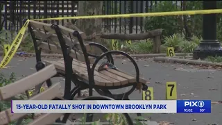 Teen shot, killed during scuffle at Brooklyn park: NYPD